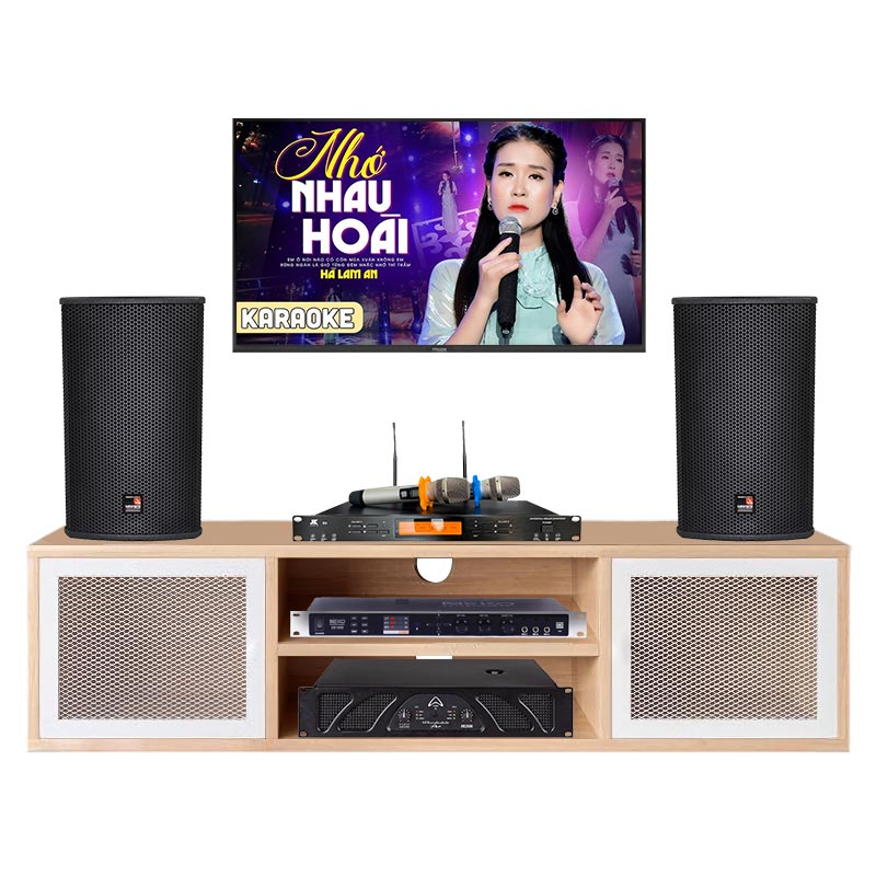 Dàn Karaoke cao cấp HDR32 ( Tecnare E10  + Công suất + Vang cơ + Micro không  dây )