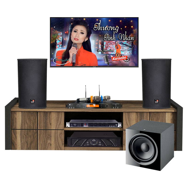 Dàn Karaoke Cao Cấp HDR35 ( Tecnare E10  + Công suất + Vang cơ + Micro không  dây + Sub )