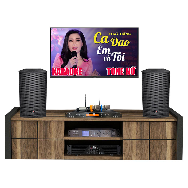 Dàn Karaoke Cao Cấp HDR36 ( Tecnare E12  + Công suất + Vang số + Micro không  dây )