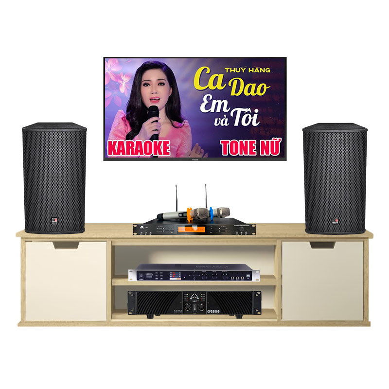 Dàn Karaoke Cao Cấp HDR37 ( Tecnare E12  + Công suất + Vang cơ + Micro không  dây )
