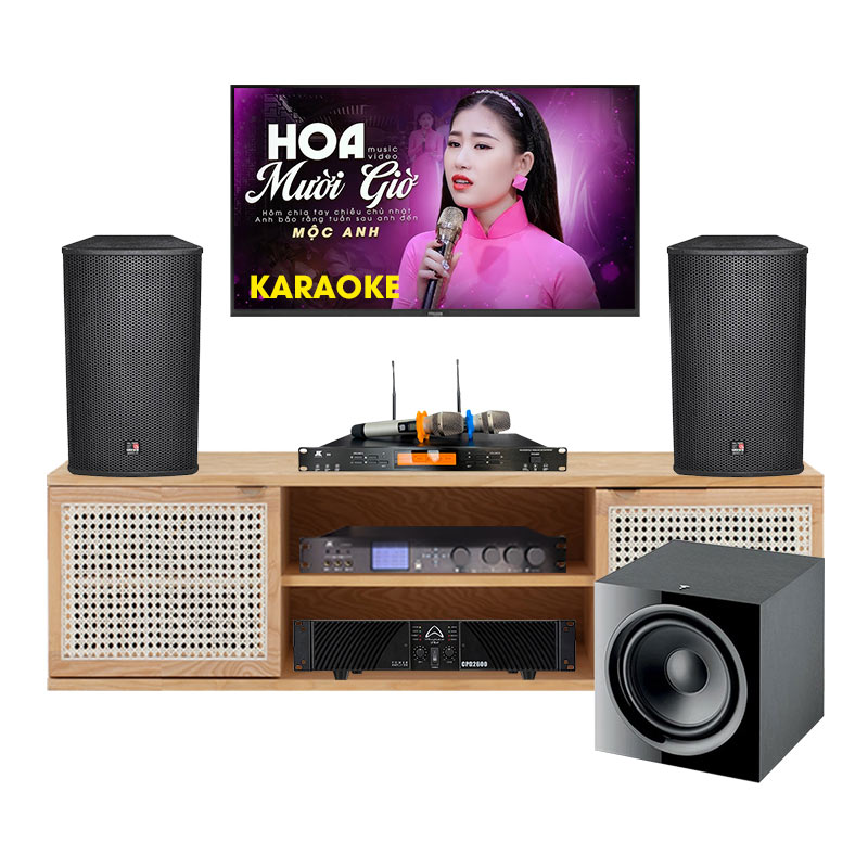 Dàn Karaoke cao cấp HDR39 ( Tecnare E12  + Công suất +vang số + Micro không  dây + Sub )