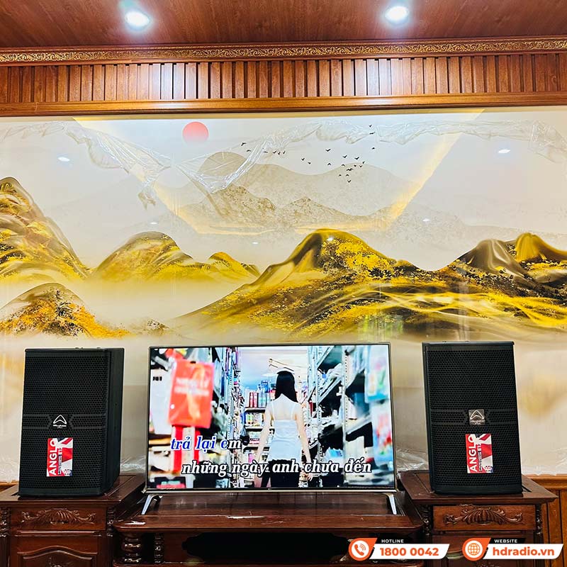 Dàn Karaoke Cao Cấp HDR51 (Whafedale Anglo E12 , Công suất, Jkaudio X6000 Plus, K800, Sub)-6