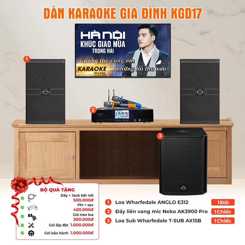 Dàn Karaoke Gia Đình KGD17