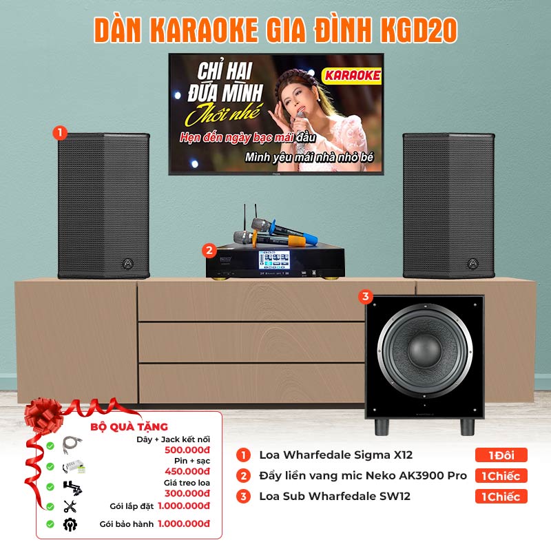 Dàn Karaoke Gia Đình KGD20