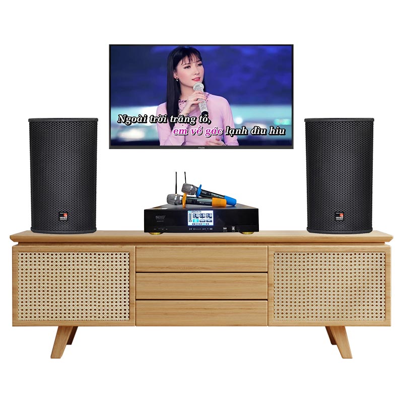 Dàn Karaoke Gia Đình KGD22 (Tecnare E10, Neko AK3900 Pro)