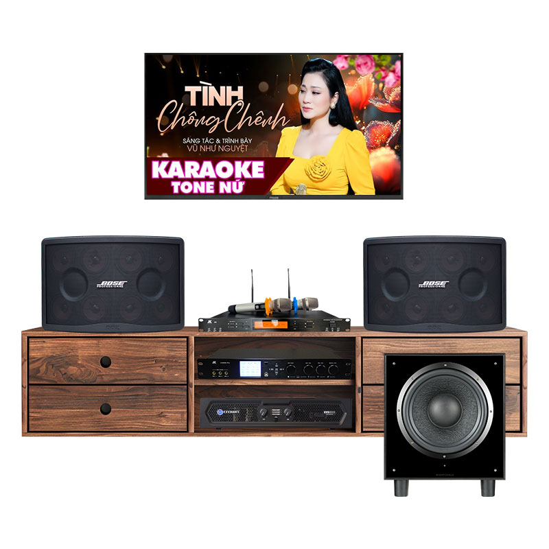 Dàn karaoke Bose KHD65 (Bose 802 Seri V, Crown KVS500, JKAudio X9000 Pro, JKAudio B9, Wharfedale SW12)