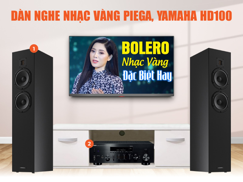 Dàn nghe nhạc vàng đa năng Piega, Yamaha HD100
