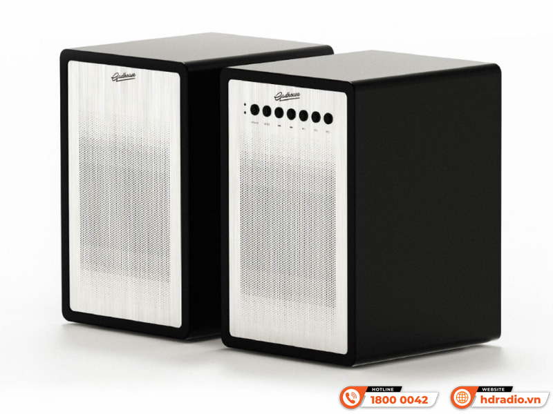 Combo đầu đĩa than kết hợp loa Gadhouse Miles x Mathis