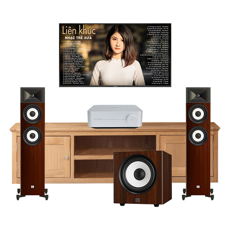 Dàn nghe nhạc mini GT53 (JBL Stage A180, sub JBL Stage A100P, Wiim Amp)