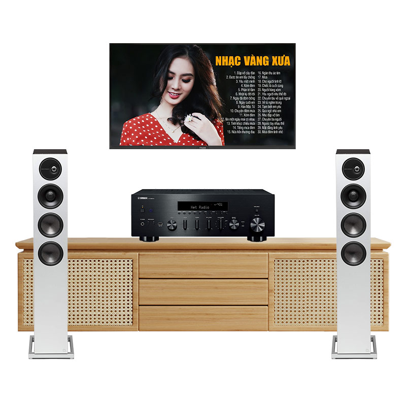 Dàn Nghe Nhạc Yamaha GT65 (Yamaha R-N600A, Definitive Demand D15)