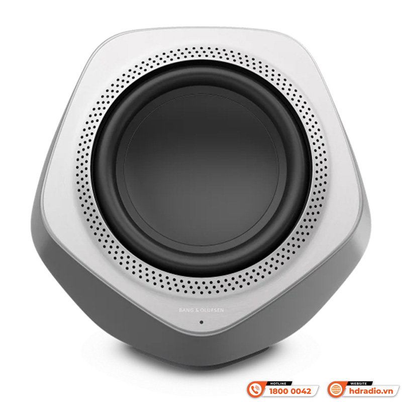 Loa sub B&O Beolab 19