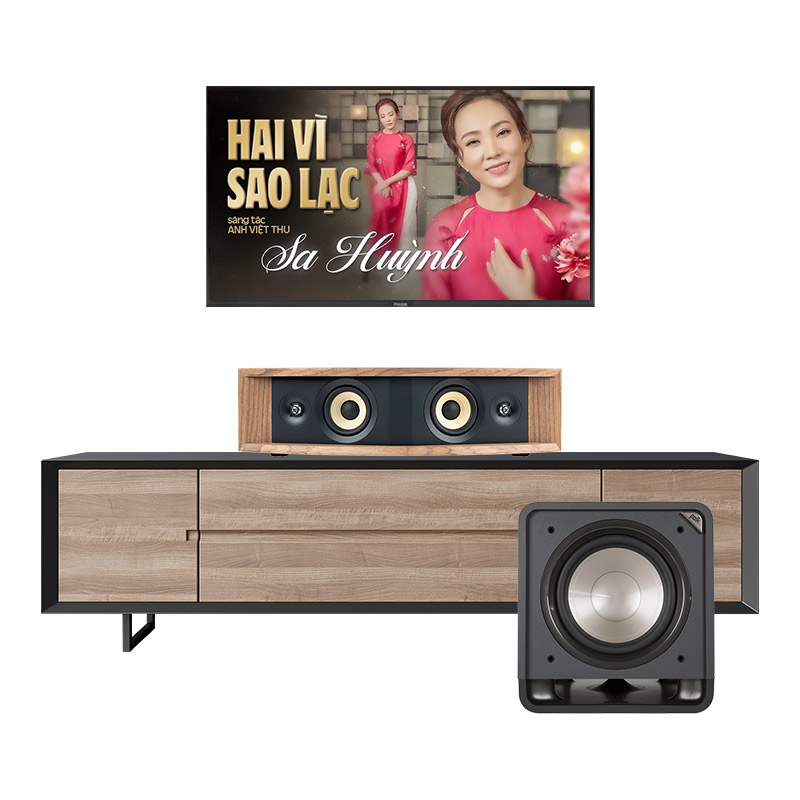 Dàn nghe nhạc JBL NH11 (JBL L42ms Music System, Polk Audio HTS12)