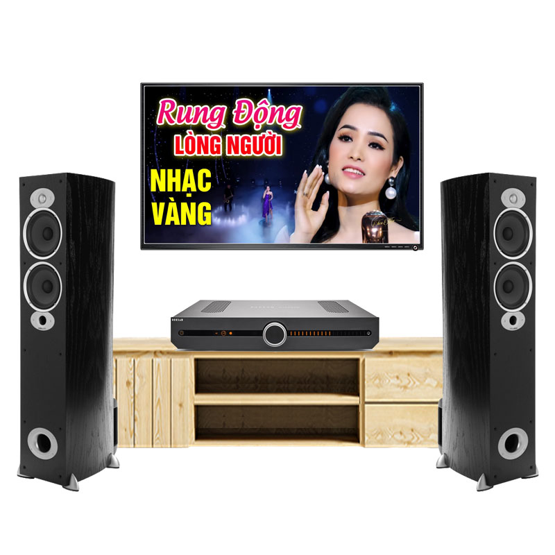 Dàn nghe nhạc Polk Audio NN75 (Polk RTi A5, Roksan Attessa Streaming)
