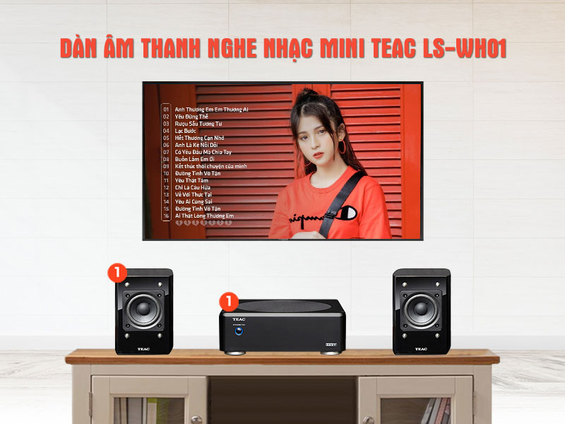 Dàn nghe nhạc TEAC LS-WH01