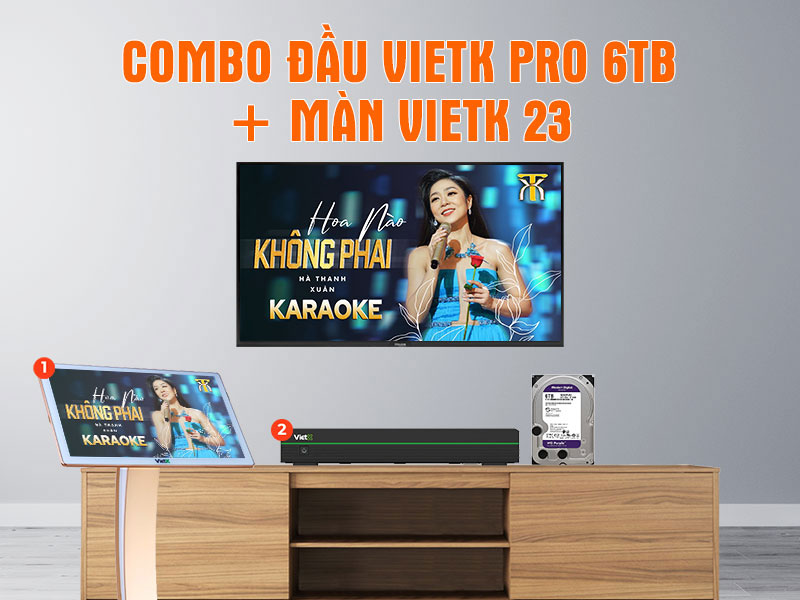 Combo đầu VietK Pro 6TB + Màn VietK 23