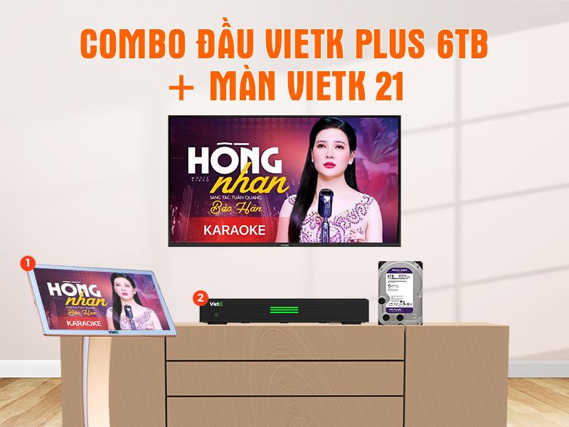 Combo đầu VietK Plus 6TB + Màn VietK 21