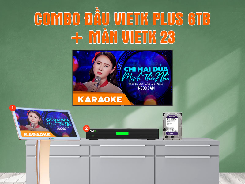 Combo đầu VietK Plus 6TB + Màn VietK 23