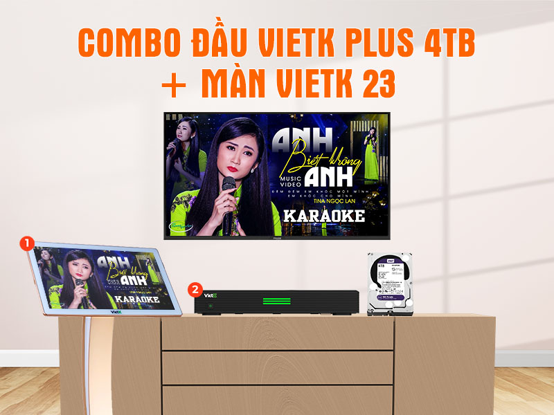 Combo đầu VietK Plus 4TB + Màn VietK 23