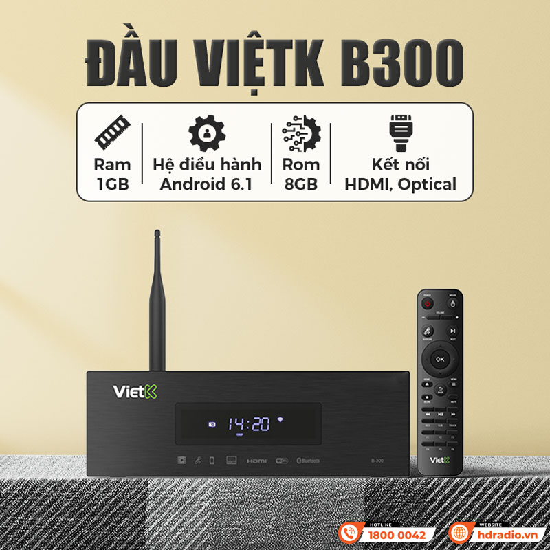 Đầu ViệtK B300