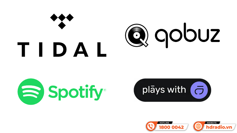 Network Player Pro-Ject Stream Box S2