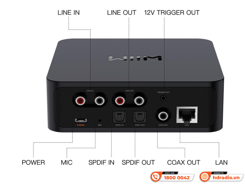 Music Streamer WiiM Pro