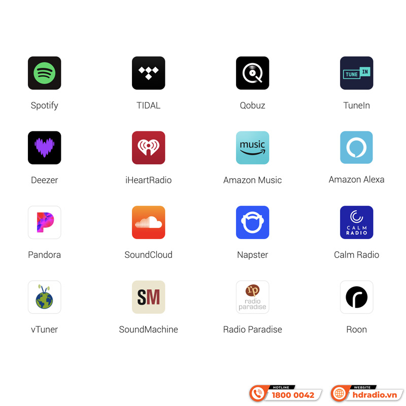 Music Streamer WiiM Pro