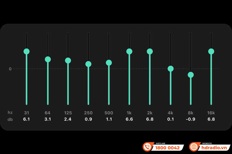 Music Streamer WiiM Pro