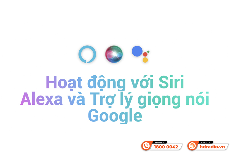 Music Streamer WiiM Pro