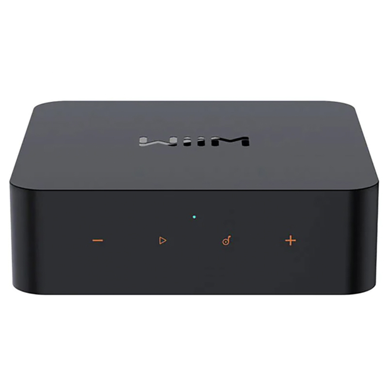 Music Streamer WiiM Pro