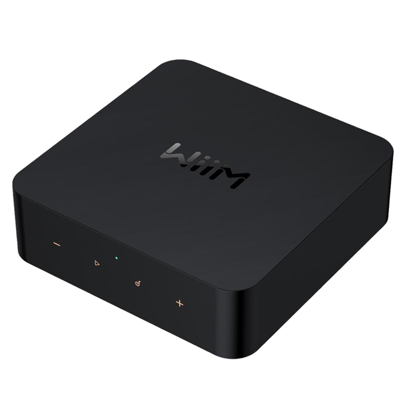 Music Streamer WiiM Pro-4