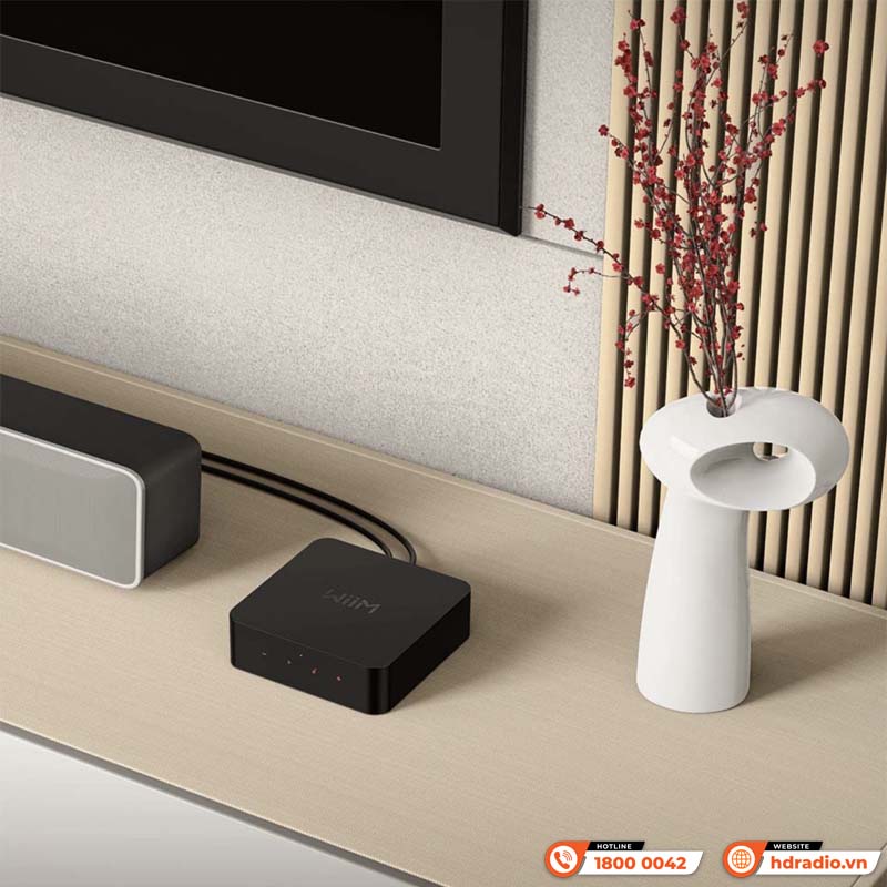 Music Streamer WiiM Pro