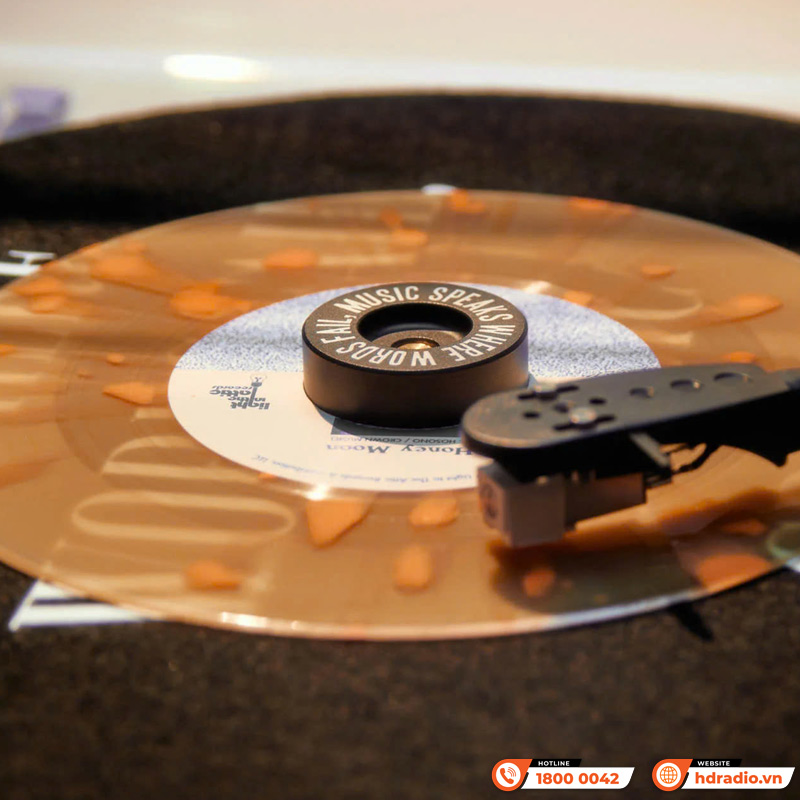 Đầu kim Combo Gadhouse Dean Turntable