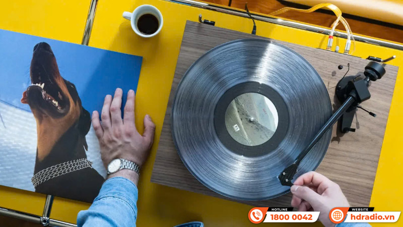 Đầu Đĩa Than Pro-Ject Debut EVO 2