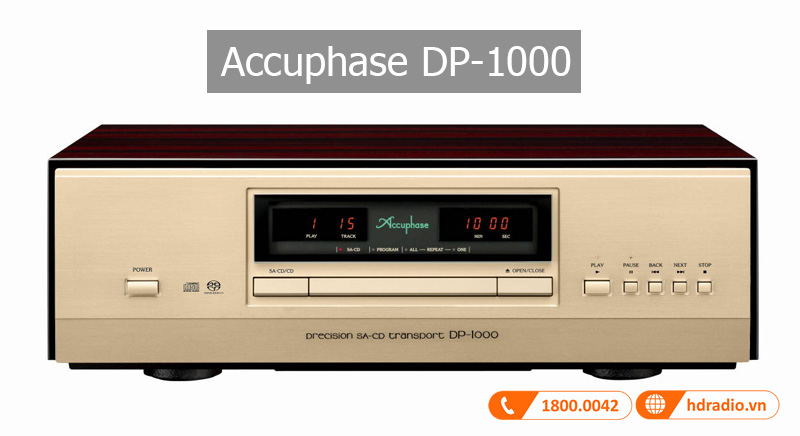 DP-1000