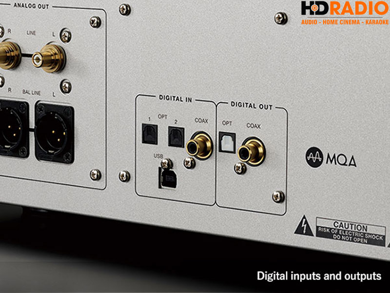 đa dạng đầu vào kỹ thuật số