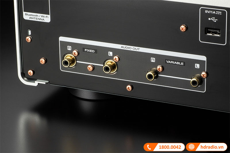 Đầu ra biến độc lập