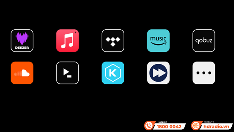 Music Streamer Eversolo T8