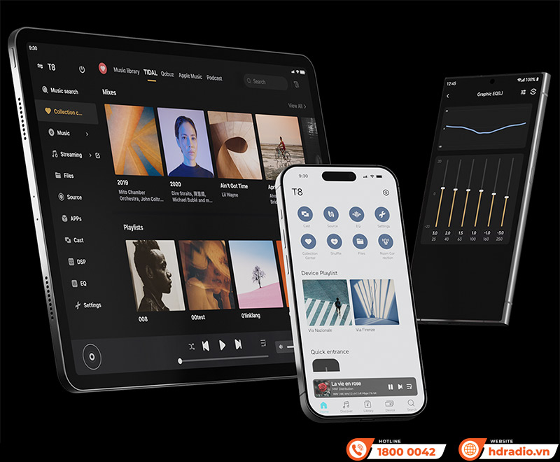 Music Streamer Eversolo T8