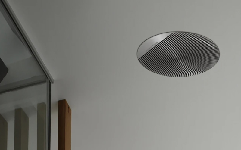 Loa B&O Celestial BOC106