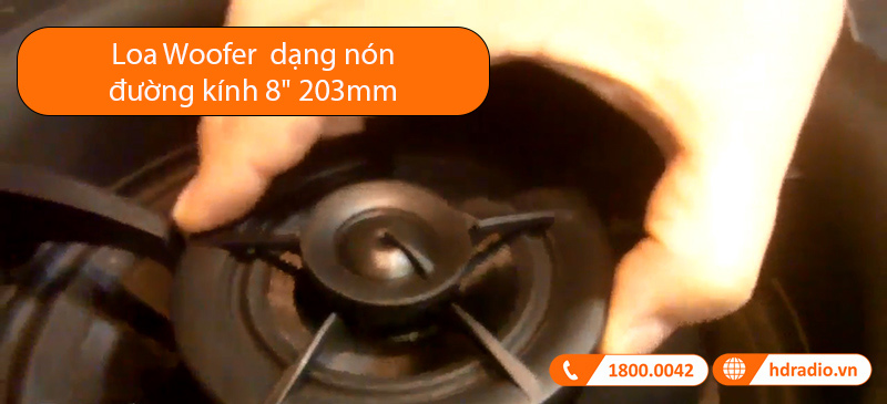 Nón Woofer của Loa B&O Celestial BOC82