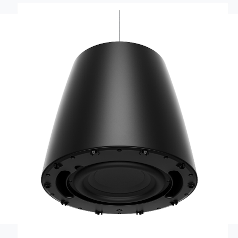 Loa Treo Trần Bose Designmax DM10P Sub, Bass 25.4cm, 300W-3