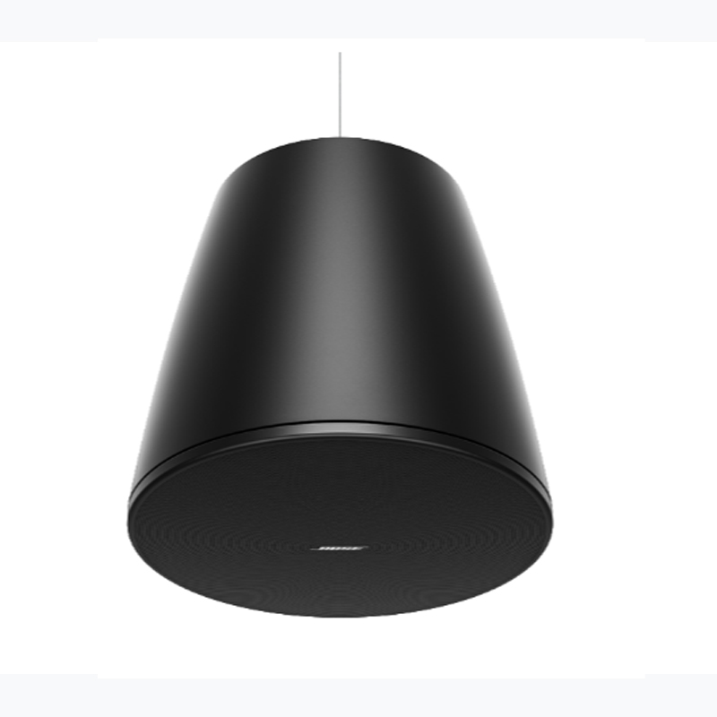 Loa Treo Trần Bose Designmax DM10P Sub, Bass 25.4cm, 300W-2