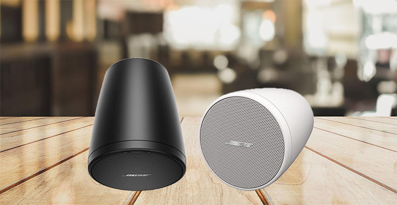 Loa Thả Trần Bose FreeSpace FS2P