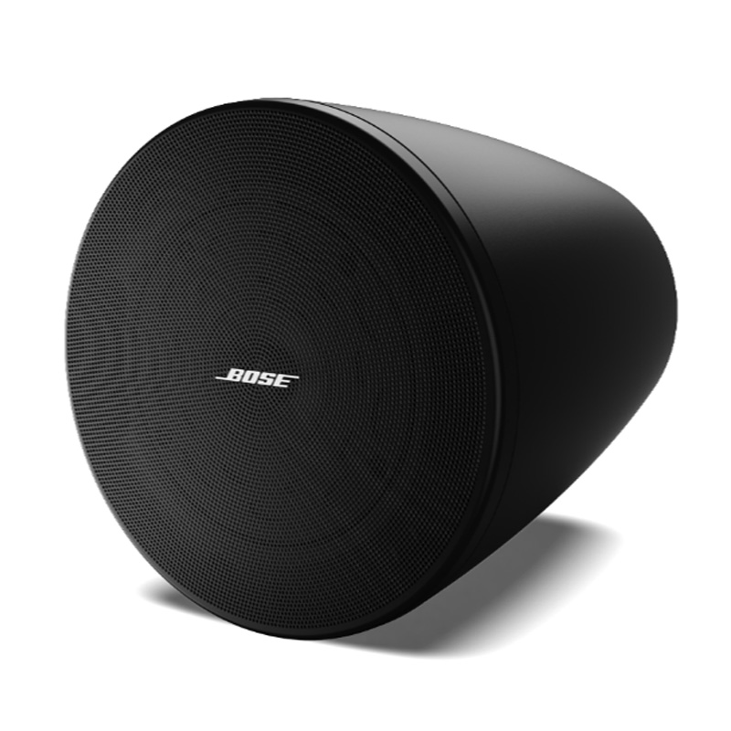 Loa Âm Trần Bose Designmax DM6PE, Bass 16.5cm, 100W-3