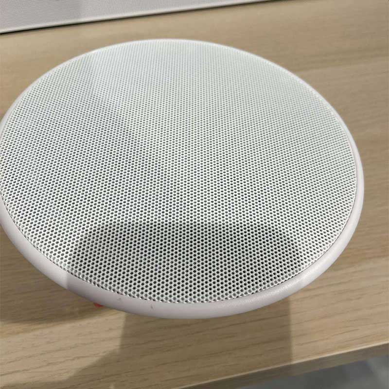 Loa âm trần Canton 845