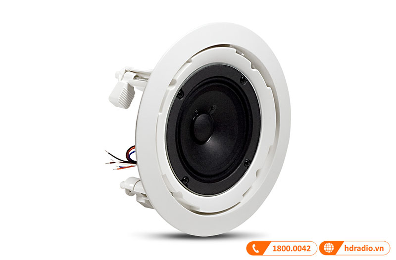 loa toàn dải đường kính 100mm