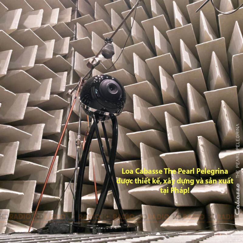 Loa Cabasse The Pearl Pelegrina