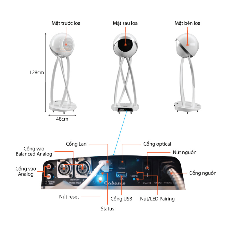 Loa Cabasse The Pearl Pelegrina