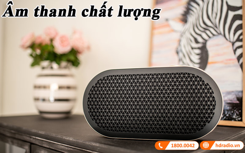 chat luong am thanh loa dali katch g2