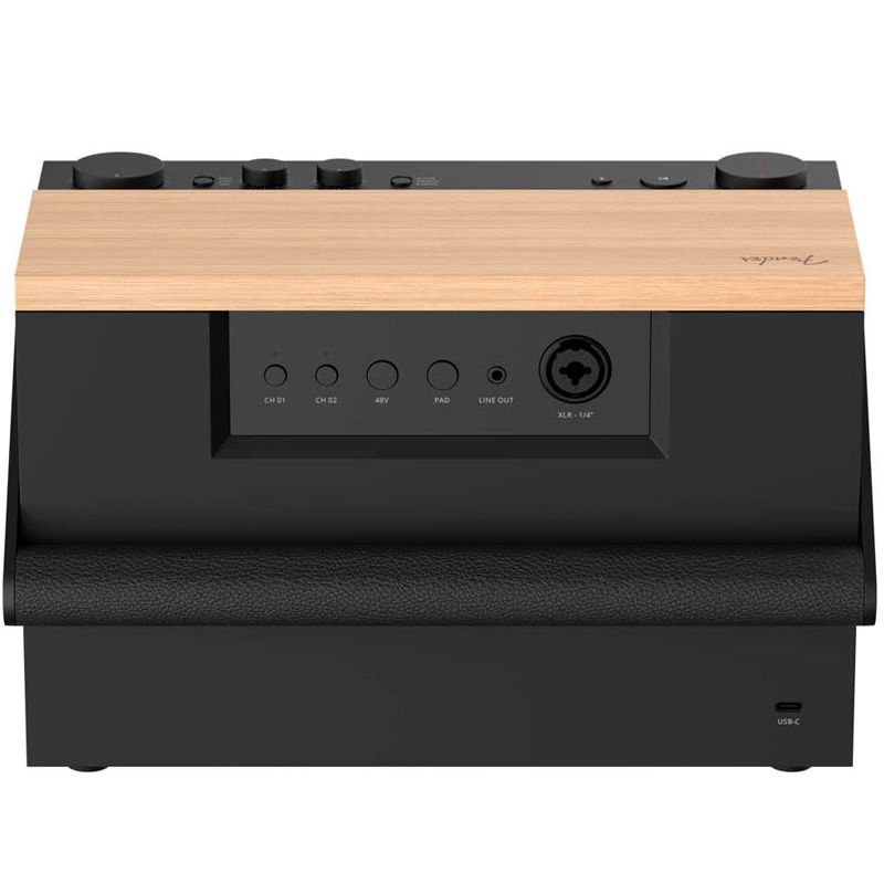 Loa Fender Elie 12, Công suất 120W, Pin 24H, Bluetooth 5.3, AUX 3.5mm, XLR-10